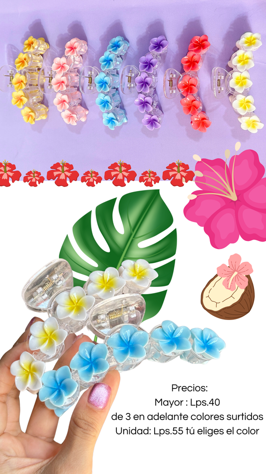 Gancho Hawaiano