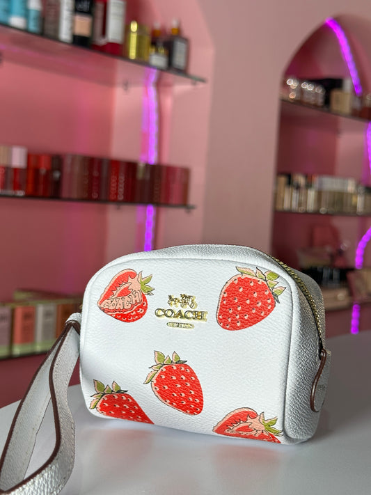 Bolso Mano Fresa Dupe Coach